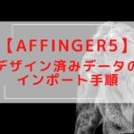 【AFFINGER5】アフィンガー5デザイン済みデータのインポートの方法